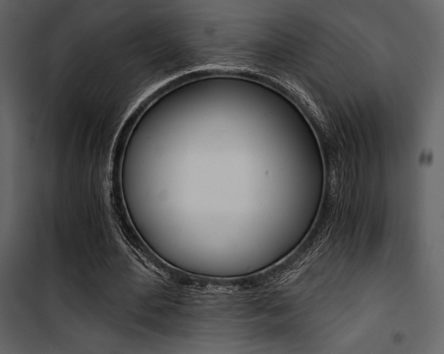 X0000101950484200807171136