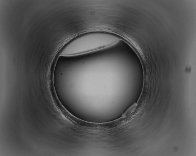 X0000101950485200807171136
