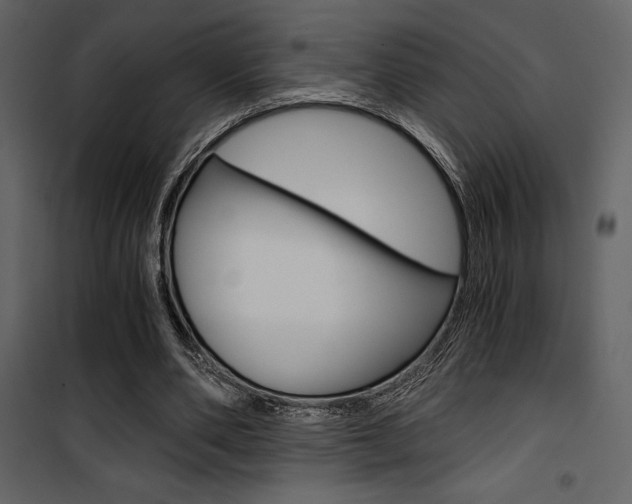 X0000101950486200807171136
