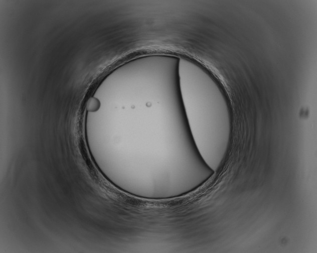 X0000101950487200807171136