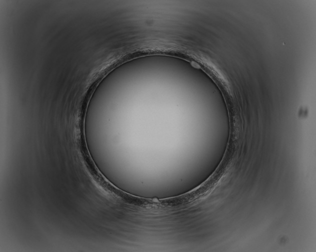 X0000101950489200807171136