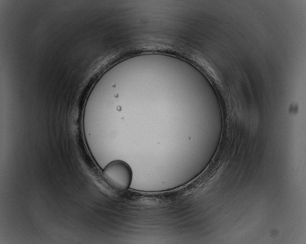 X0000101950490200807171136