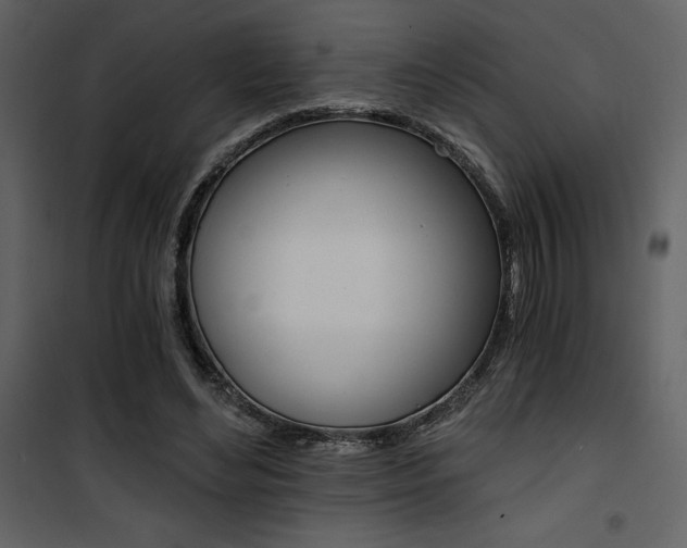 X0000101950492200807171136