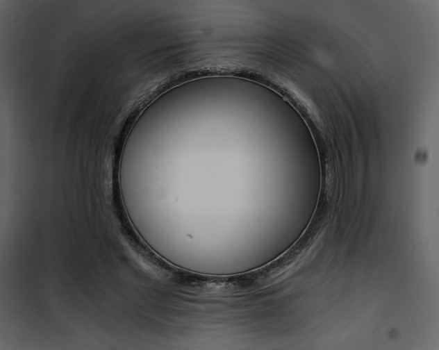 X0000101950493200807171136