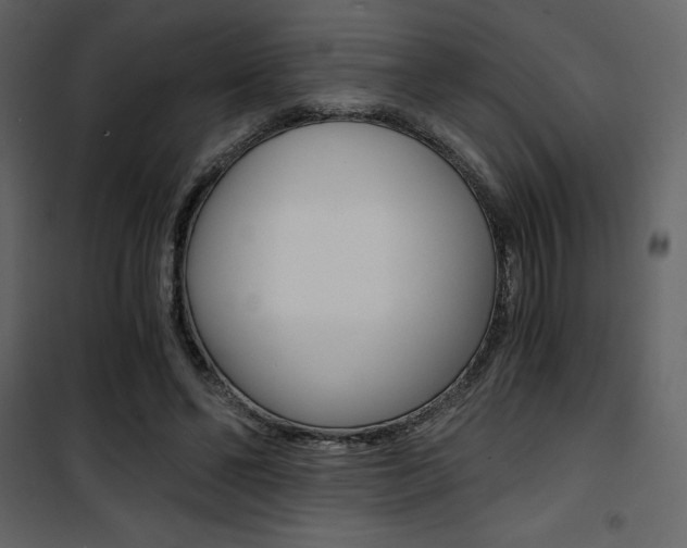 X0000101950494200807171136