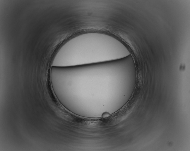 X0000101950495200807171136