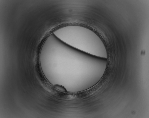 X0000101950496200807171136