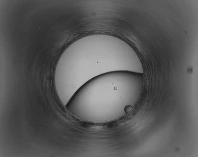 X0000101950499200807171136
