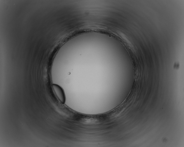 X0000101950500200807171136
