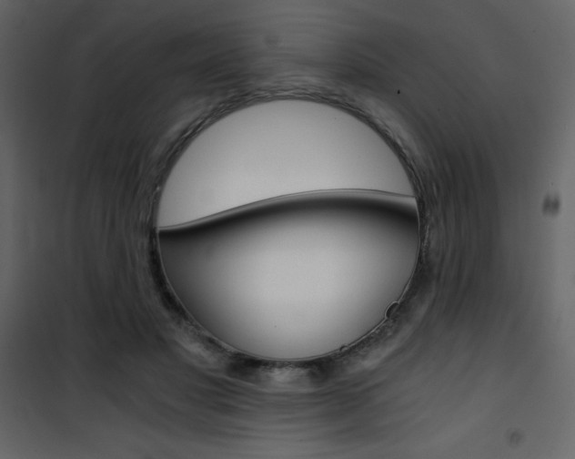 X0000101950501200807171136