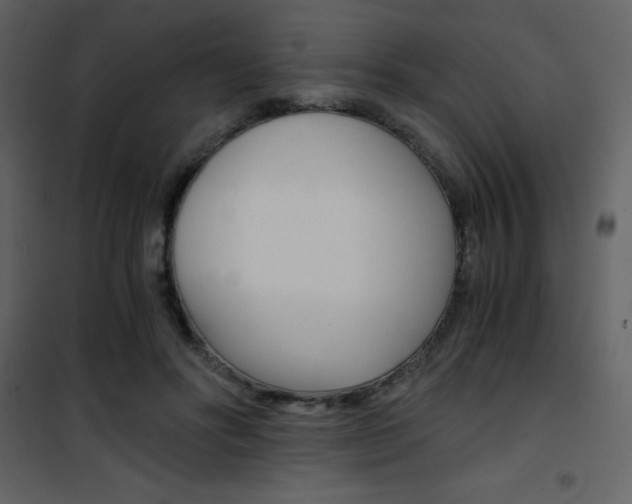 X0000101950502200807171136
