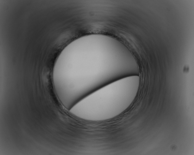 X0000101950503200807171136