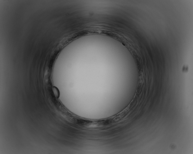 X0000101950504200807171136