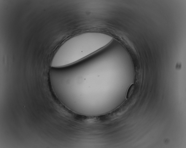 X0000101950505200807171136