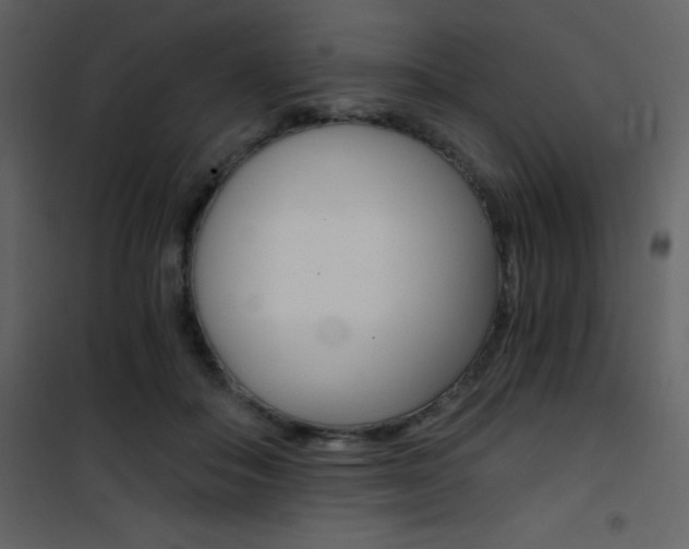 X0000101950506200807171136