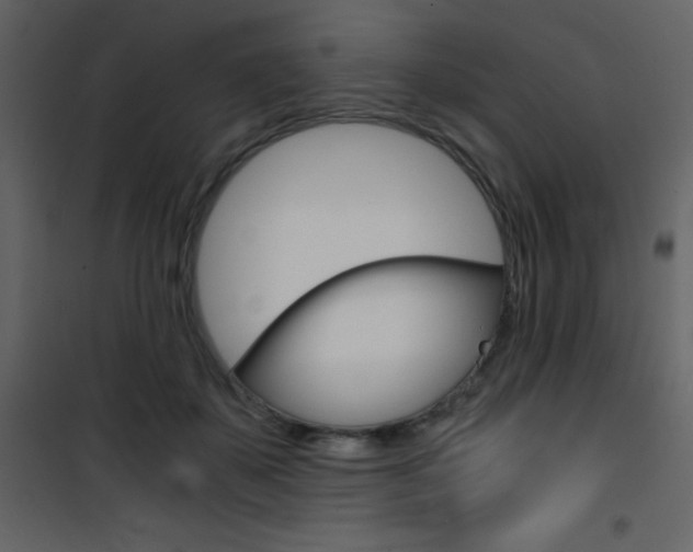 X0000101950507200807171136