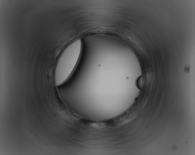 X0000101950508200807171136