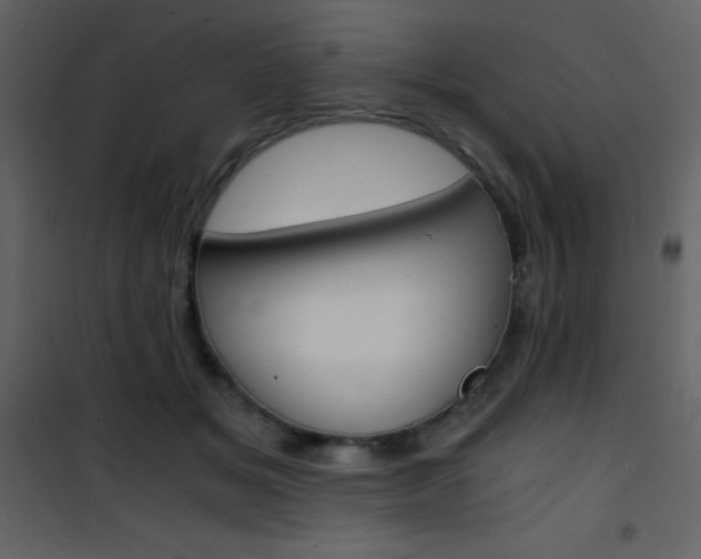 X0000101950509200807171136