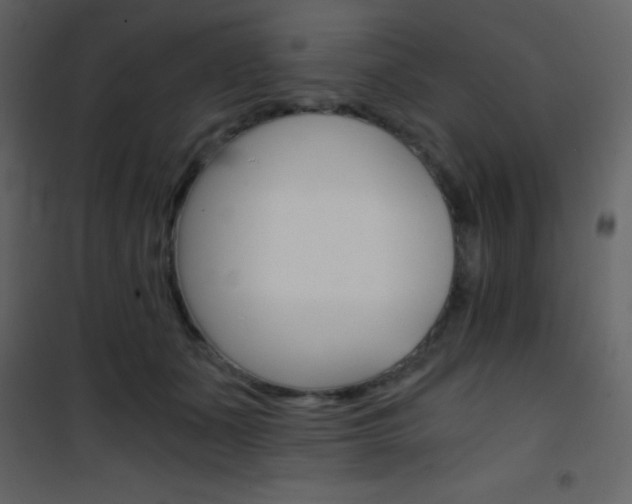 X0000101950511200807171136