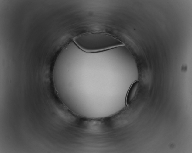 X0000101950512200807171136