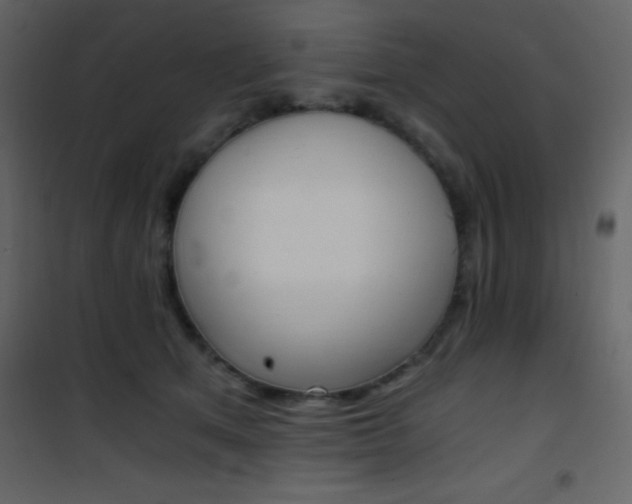 X0000101950513200807171136