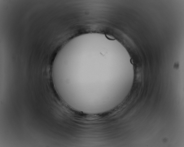 X0000101950514200807171136