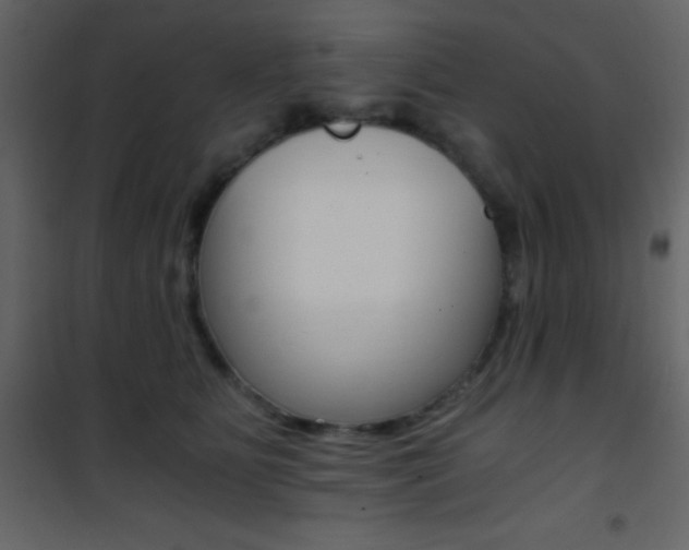 X0000101950515200807171136