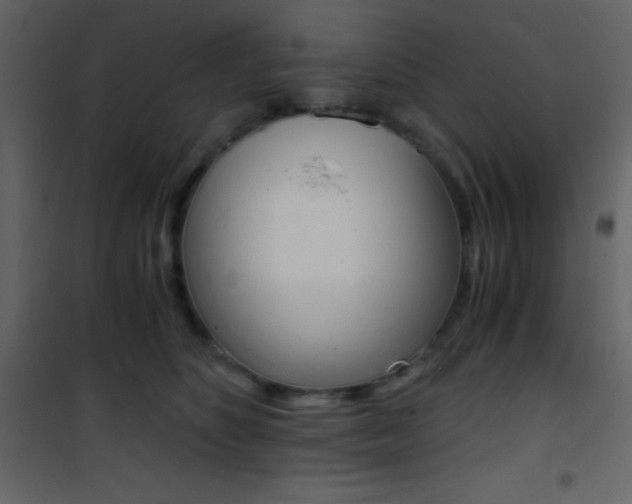X0000101950516200807171136