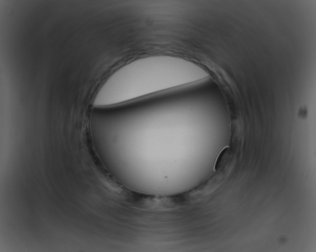 X0000101950517200807171136