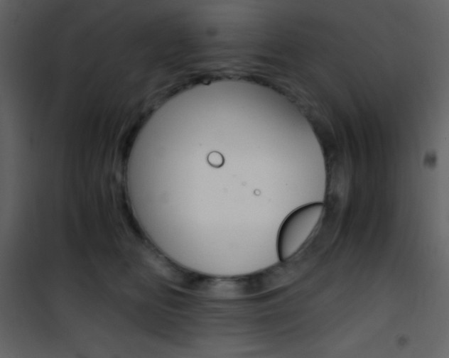 X0000101950518200807171136