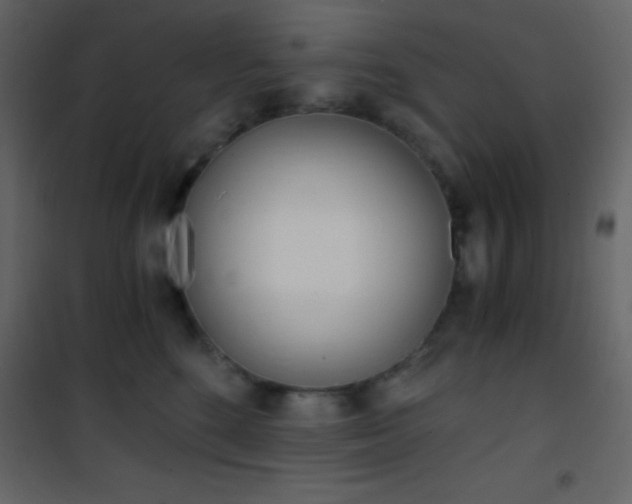 X0000101950520200807171136