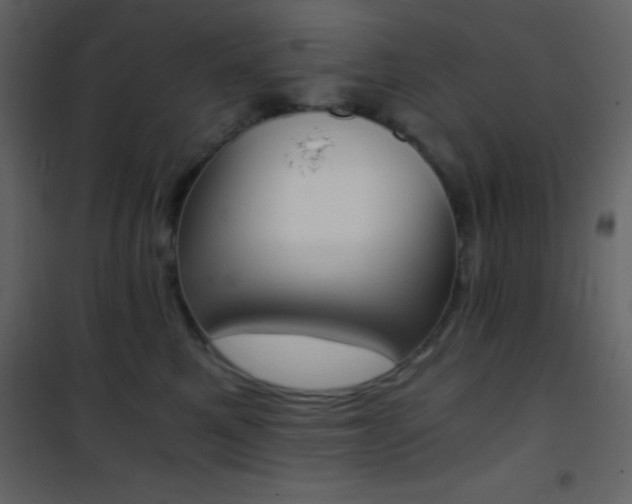 X0000101950521200807171136