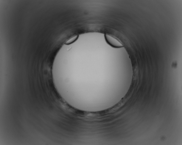 X0000101950522200807171136