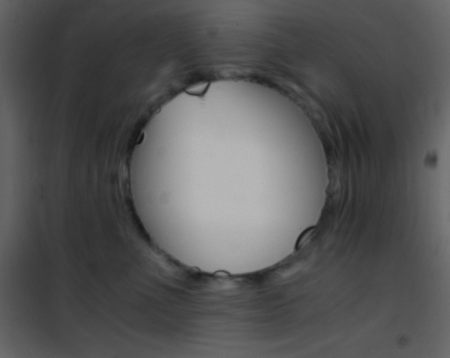 X0000101950523200807171136