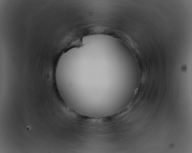 X0000101950524200807171136