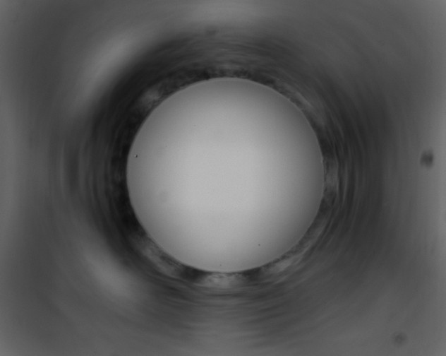 X0000101950526200807171136