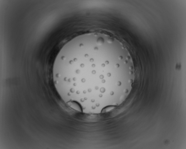 X0000101950527200807171136