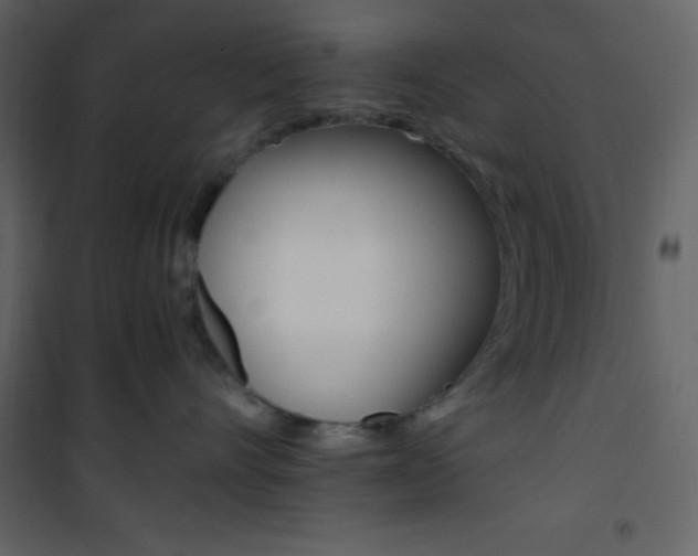 X0000101950528200807171136