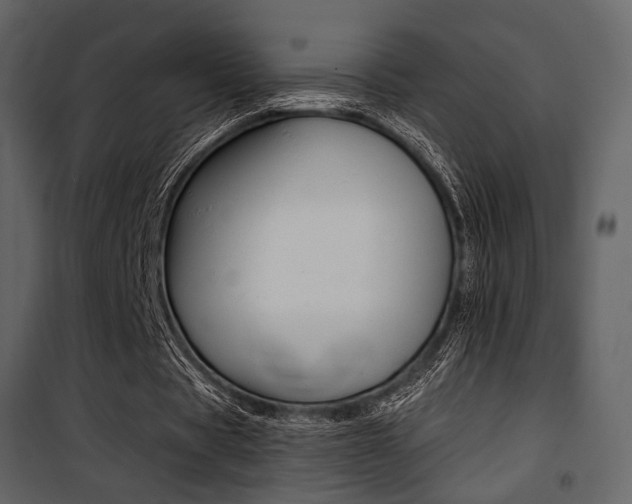 X0000101950529200807171135