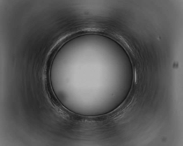 X0000101950531200807171135
