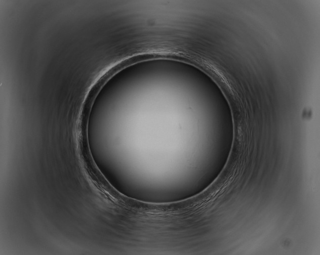 X0000101950532200807171135