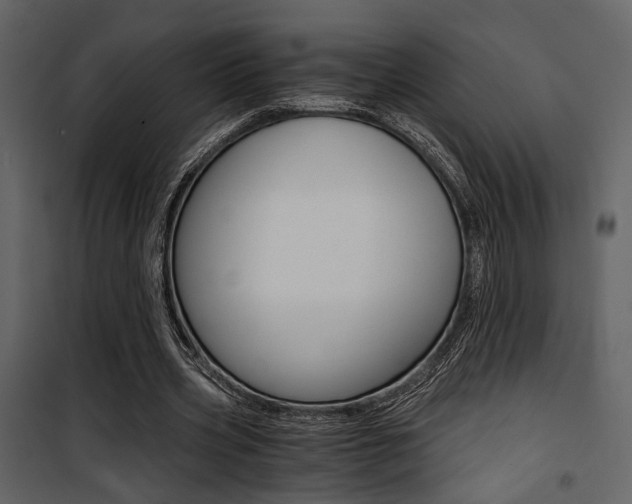X0000101950533200807171135