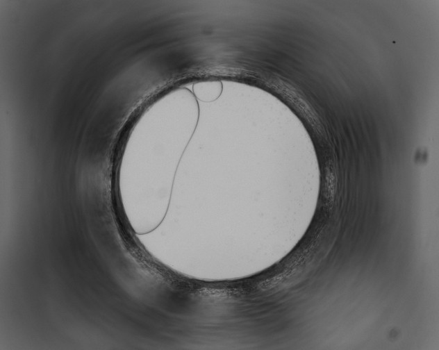 X0000101950534200807171135