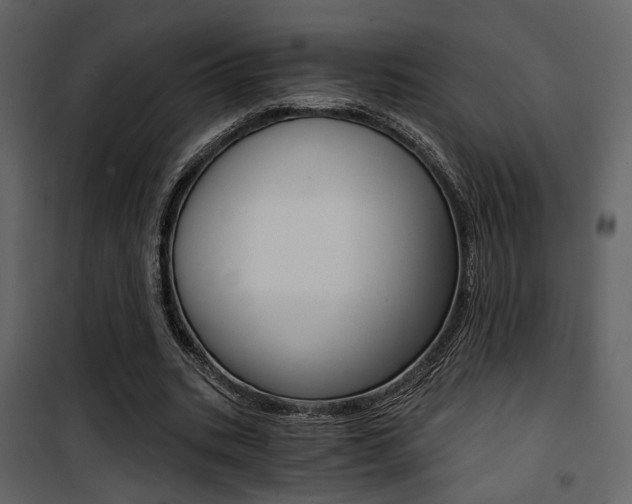 X0000101950535200807171135