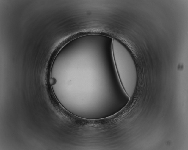 X0000101950536200807171135