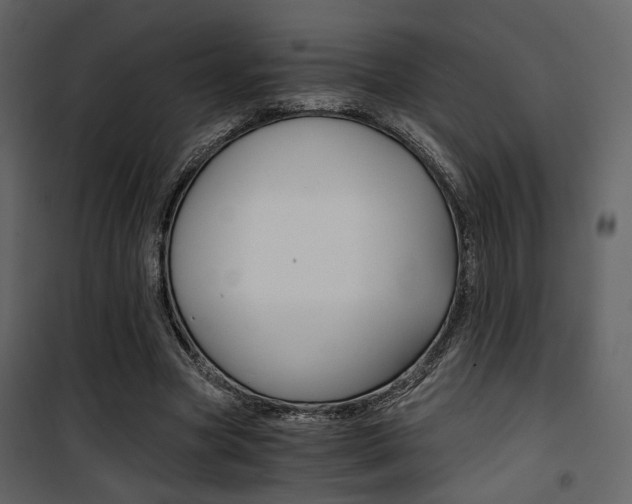 X0000101950537200807171135
