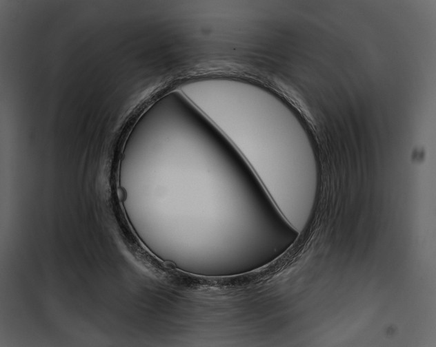 X0000101950538200807171135