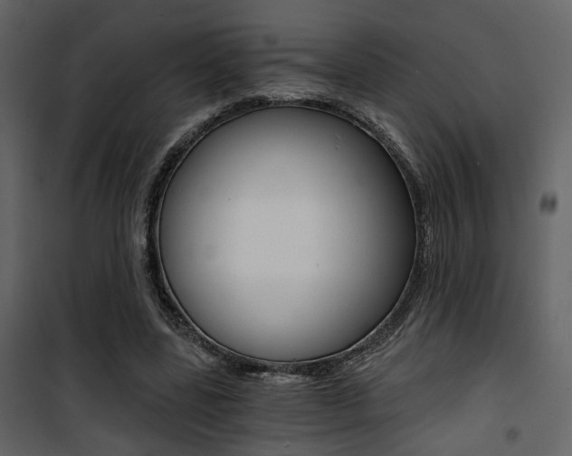 X0000101950539200807171135