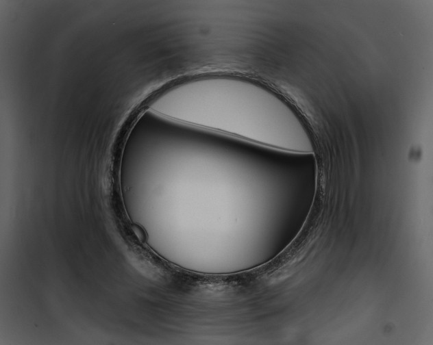X0000101950540200807171135