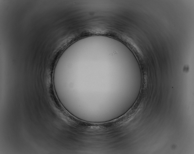 X0000101950541200807171135